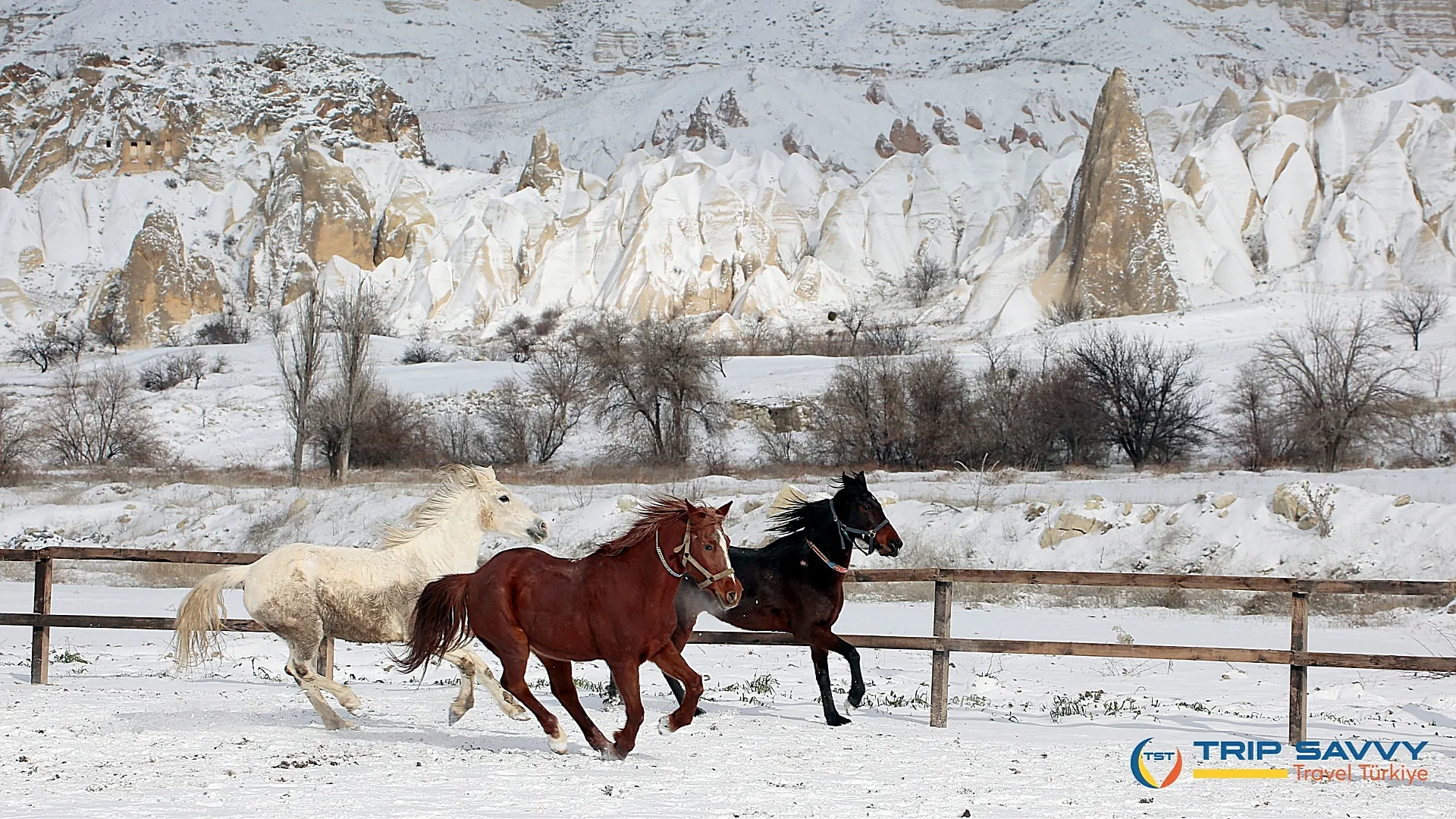 Cappadocia Horse Riding 4 Hours